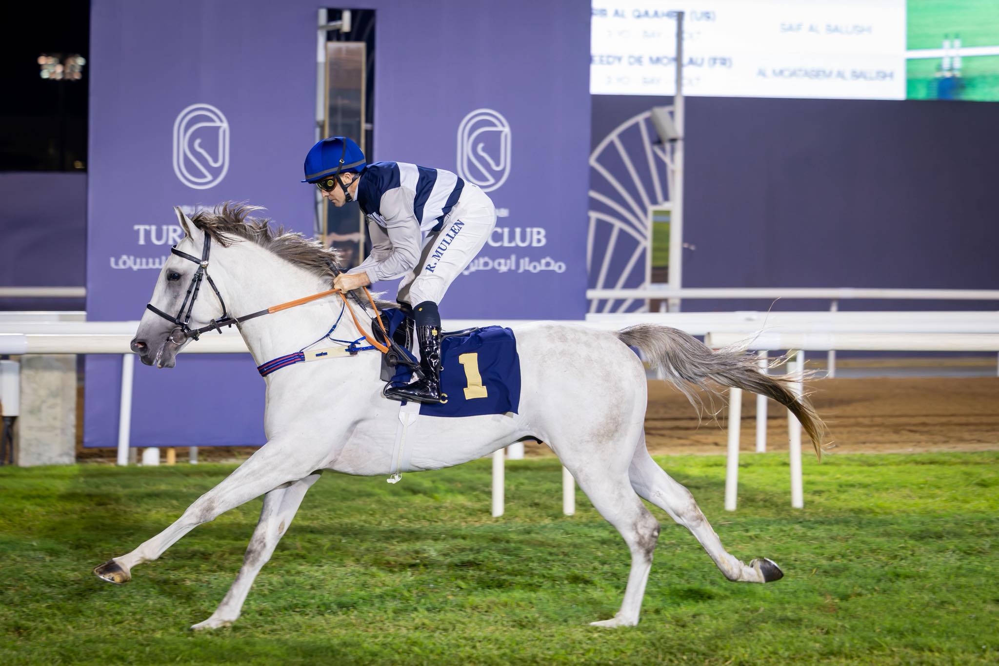 horse